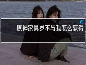 原神家具岁不与我怎么获得