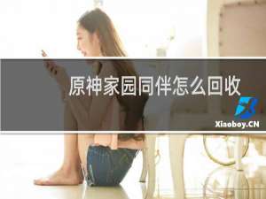 原神家园同伴怎么回收