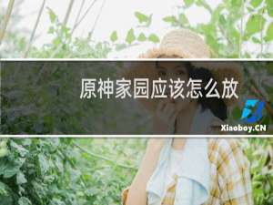 原神家园应该怎么放