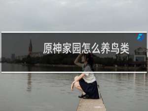 原神家园怎么养鸟类