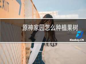 原神家园怎么种植果树