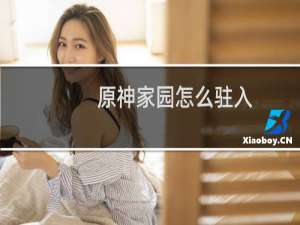 原神家园怎么驻入