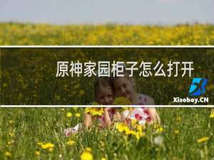 原神家园柜子怎么打开