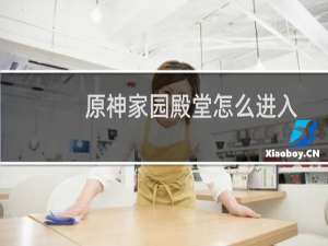 原神家园殿堂怎么进入