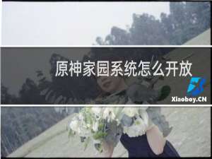 原神家园系统怎么开放