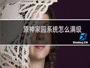 原神家园系统怎么满级