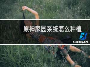 原神家园系统怎么种植