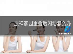 原神家园重叠后闪动怎么办