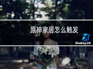原神家居怎么触发