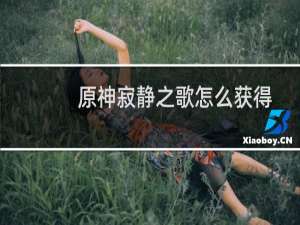 原神寂静之歌怎么获得