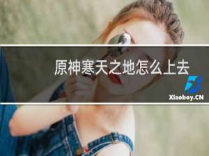 原神寒天之地怎么上去