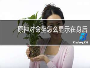 原神对命坐怎么显示在身后