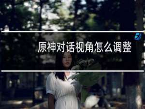 原神对话视角怎么调整