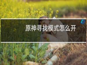 原神寻找模式怎么开