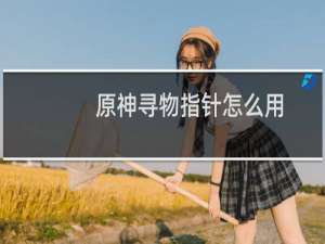 原神寻物指针怎么用