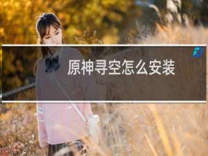原神寻空怎么安装