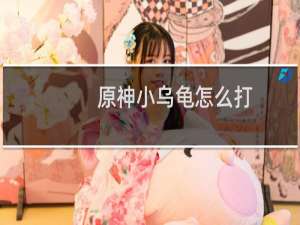 原神小乌龟怎么打