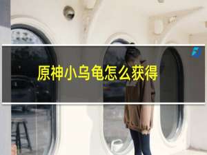 原神小乌龟怎么获得