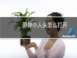 原神小人头怎么打开