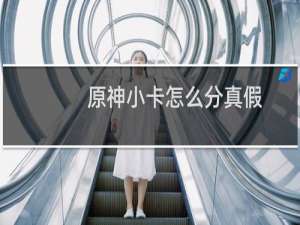 原神小卡怎么分真假