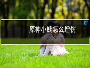 原神小姨怎么增伤