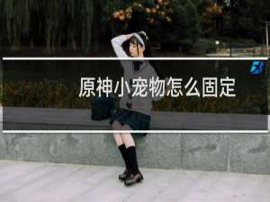 原神小宠物怎么固定
