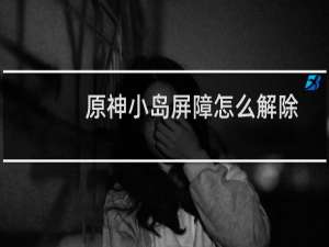 原神小岛屏障怎么解除