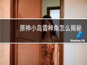 原神小岛雷神瞳怎么揭秘