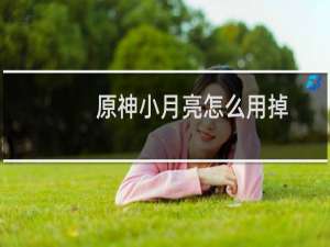 原神小月亮怎么用掉