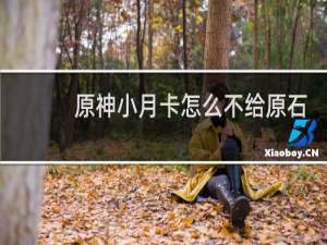 原神小月卡怎么不给原石