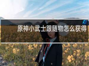 原神小武士跟随物怎么获得