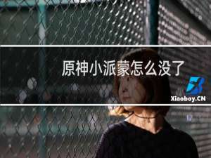 原神小派蒙怎么没了
