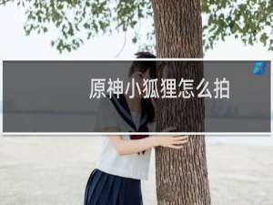 原神小狐狸怎么拍
