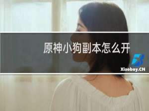 原神小狗副本怎么开