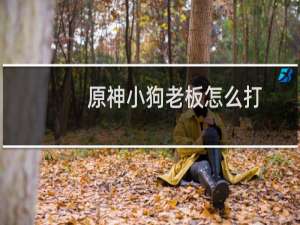 原神小狗老板怎么打