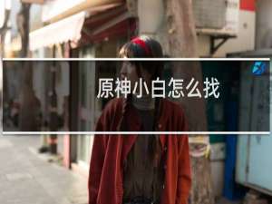 原神小白怎么找