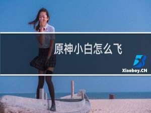 原神小白怎么飞