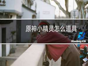原神小精灵怎么道具