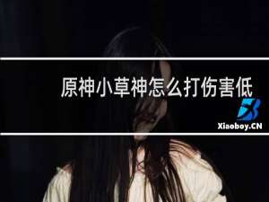 原神小草神怎么打伤害低