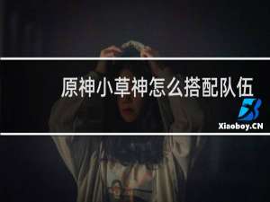 原神小草神怎么搭配队伍