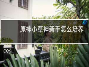 原神小草神新手怎么培养