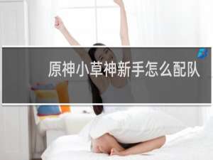 原神小草神新手怎么配队