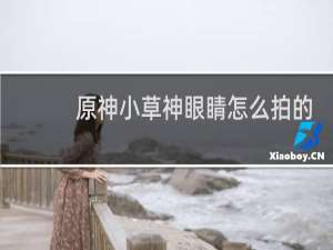 原神小草神眼睛怎么拍的