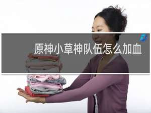原神小草神队伍怎么加血