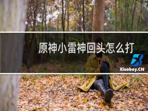 原神小雷神回头怎么打