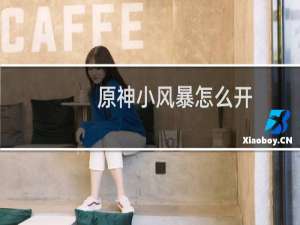 原神小风暴怎么开