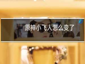 原神小飞人怎么变了
