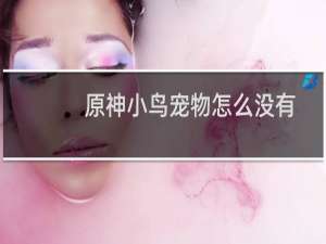 原神小鸟宠物怎么没有