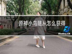 原神小鸟随从怎么获得