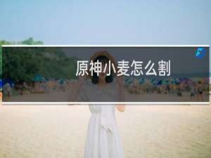 原神小麦怎么割